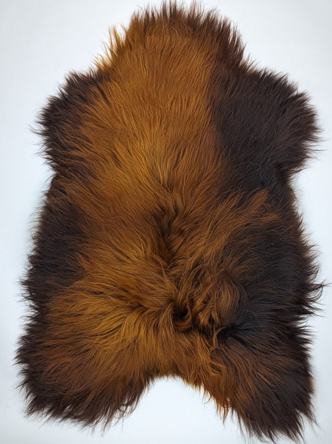 Islandská ovčí kůže „Rusty“ XXXL