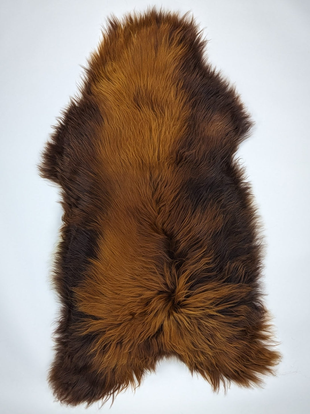 Islandská ovčí kůže „Rusty“ XXXL