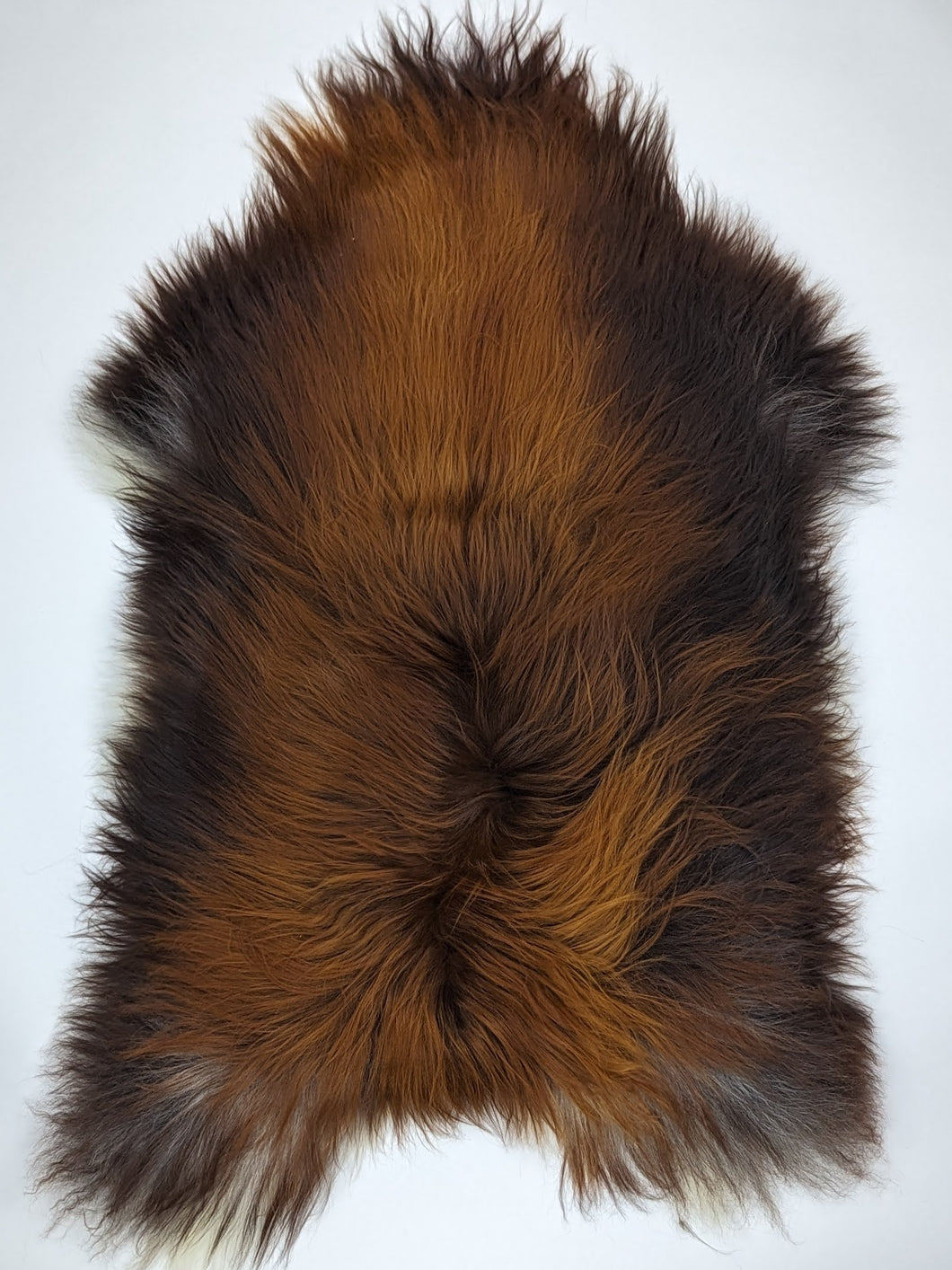 Islandská ovčí kůže „Rusty“ XXL