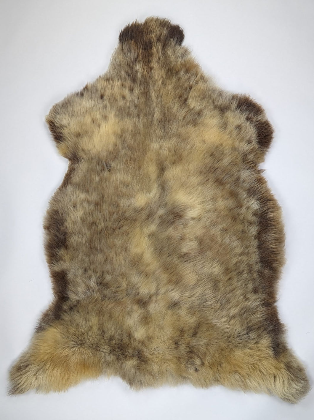 Įvairiaspalvis avikailis XXL