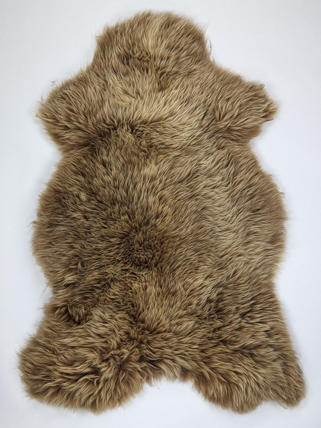 Įvairiaspalvis avikailis XL