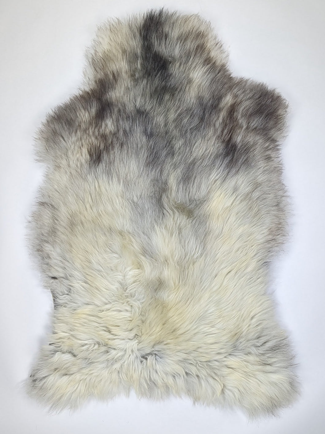 Įvairiaspalvis avikailis XXL