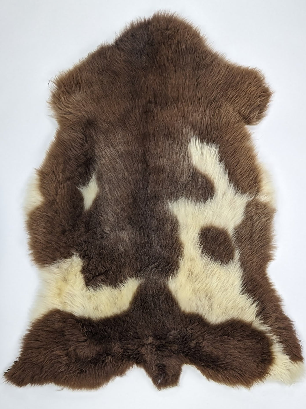 Įvairiaspalvis avikailis L