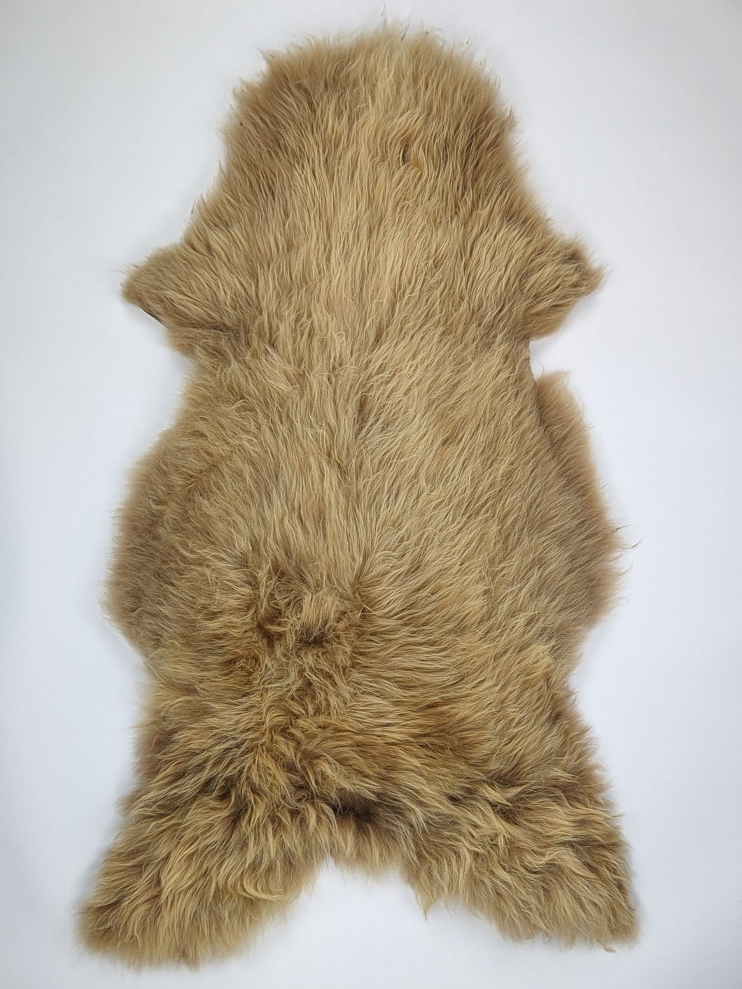 Įvairiaspalvis avikailis XXL