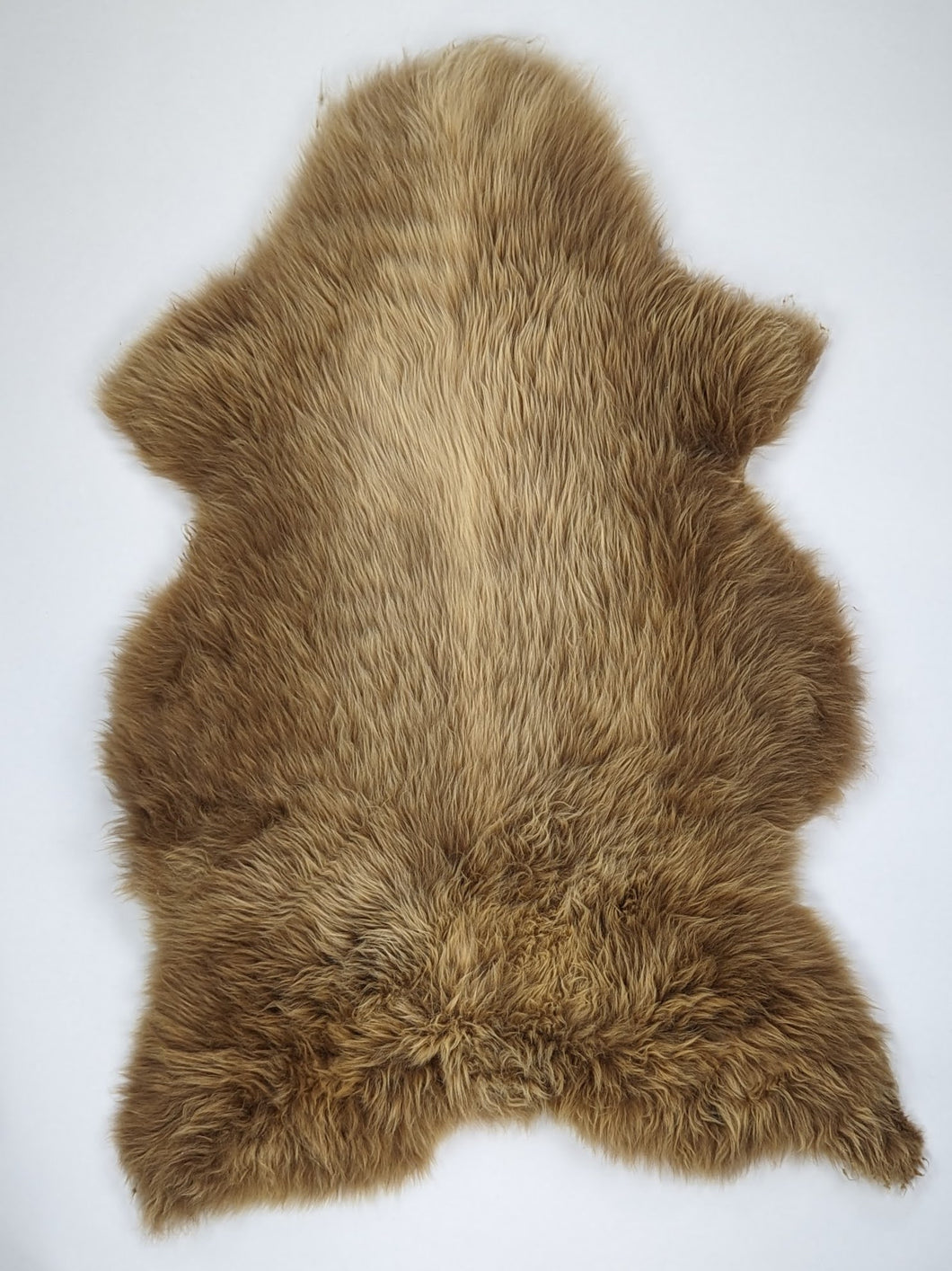 Įvairiaspalvis avikailis XL