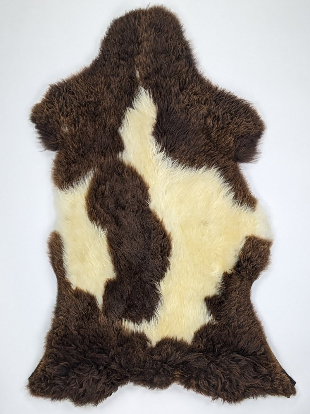 Įvairiaspalvis avikailis XL