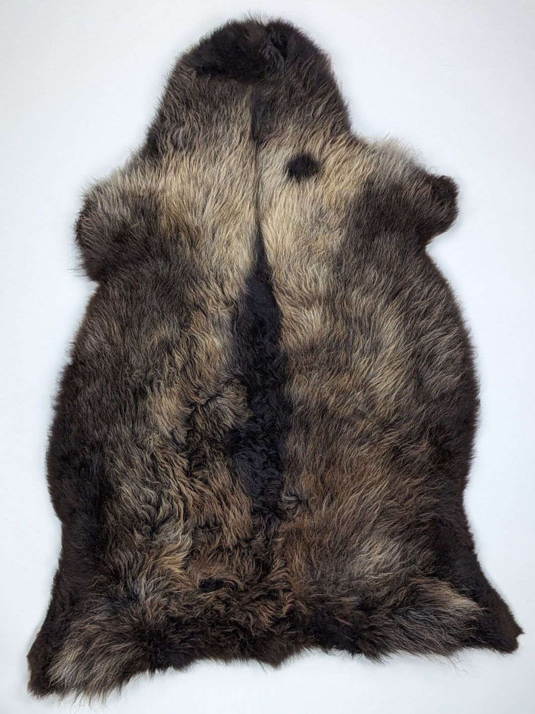 Įvairiaspalvis avikailis XL