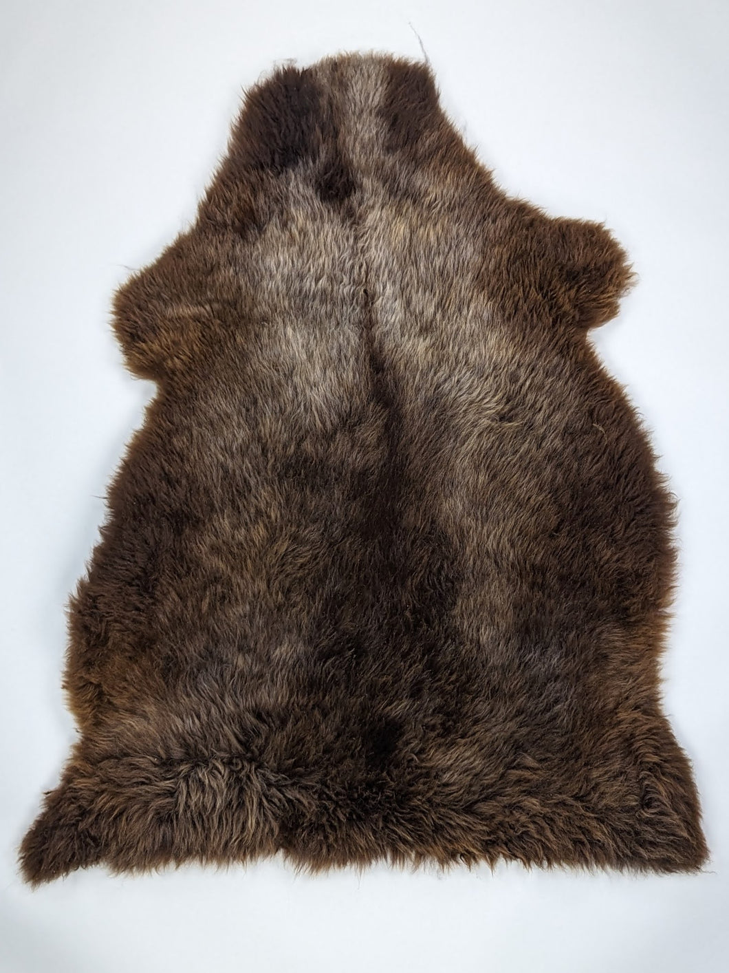 Įvairiaspalvis avikailis XL