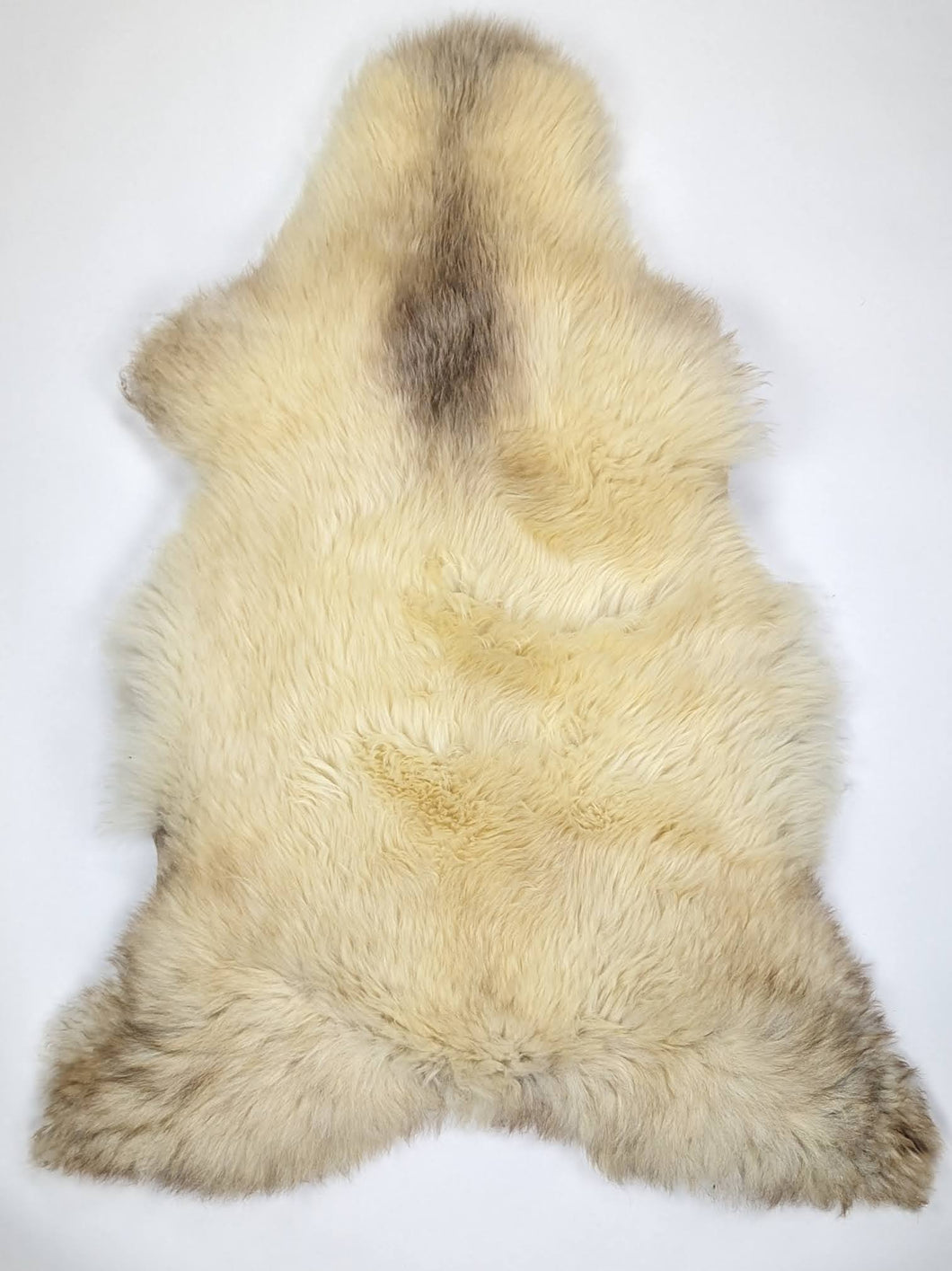 Įvairiaspalvis avikailis XXL