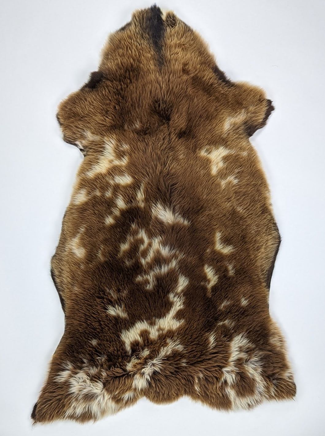 Įvairiaspalvis avikailis XL