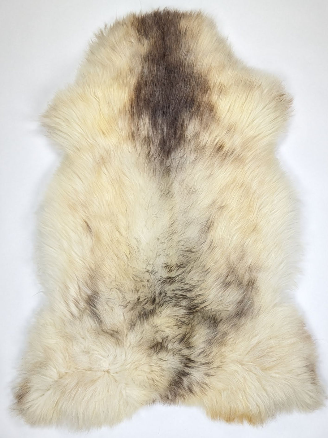 Įvairiaspalvis avikailis XL