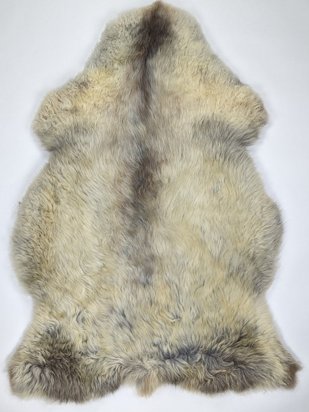 Įvairiaspalvis avikailis XXL