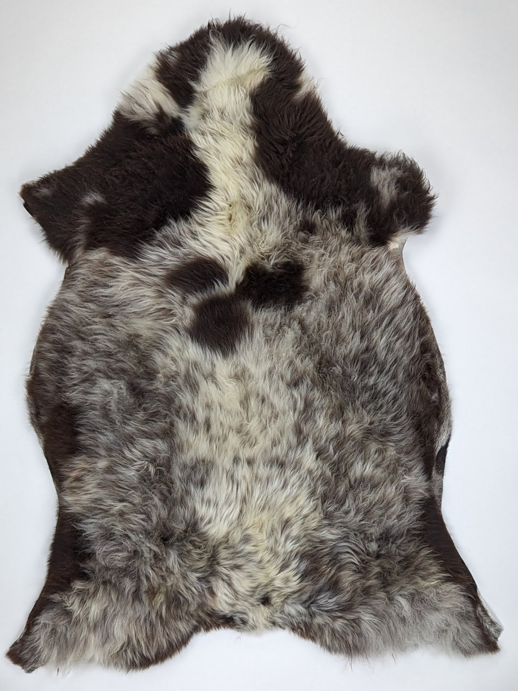 Įvairiaspalvis avikailis XXL