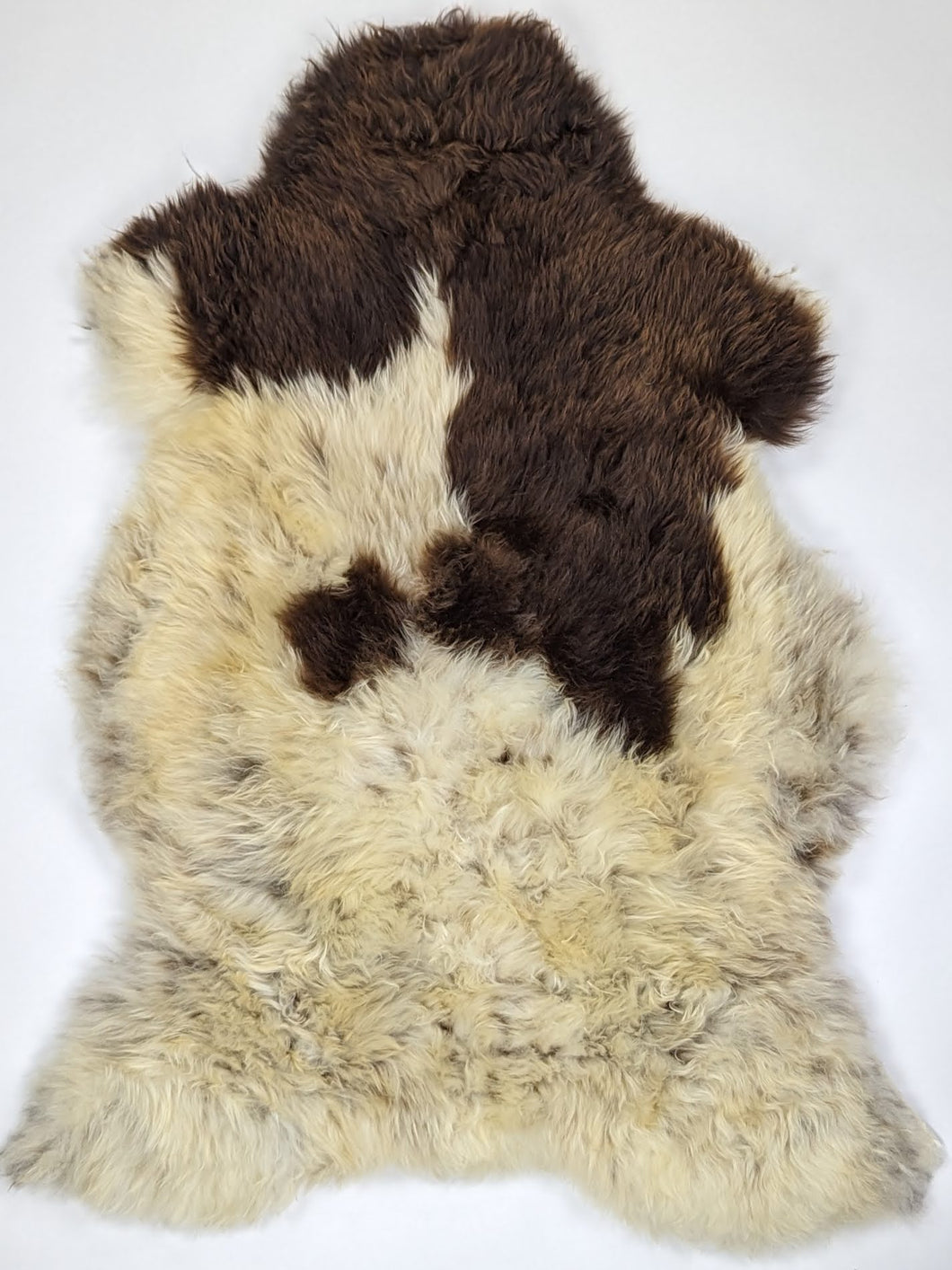 Įvairiaspalvis avikailis XL