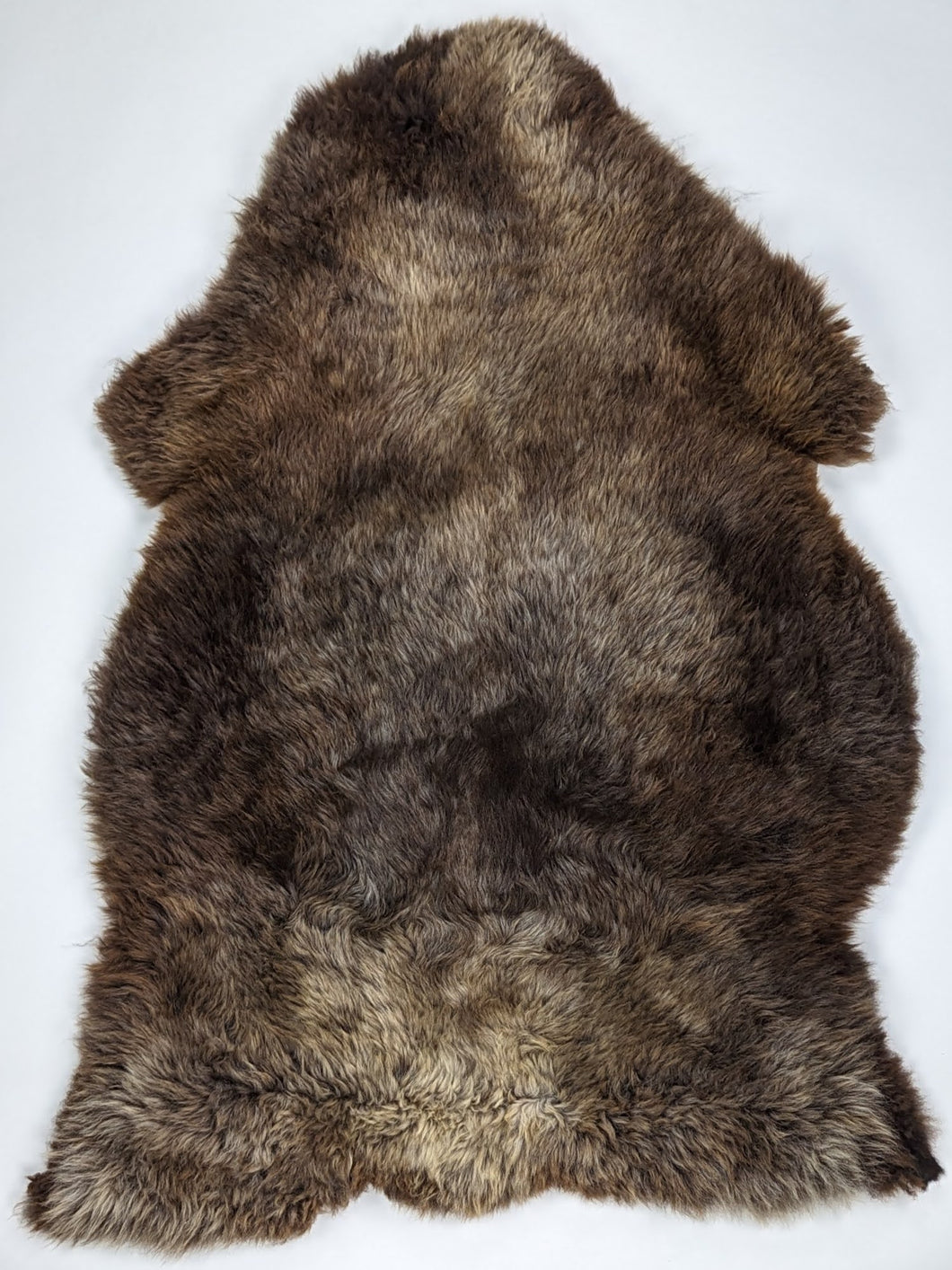 Įvairiaspalvis avikailis XXL