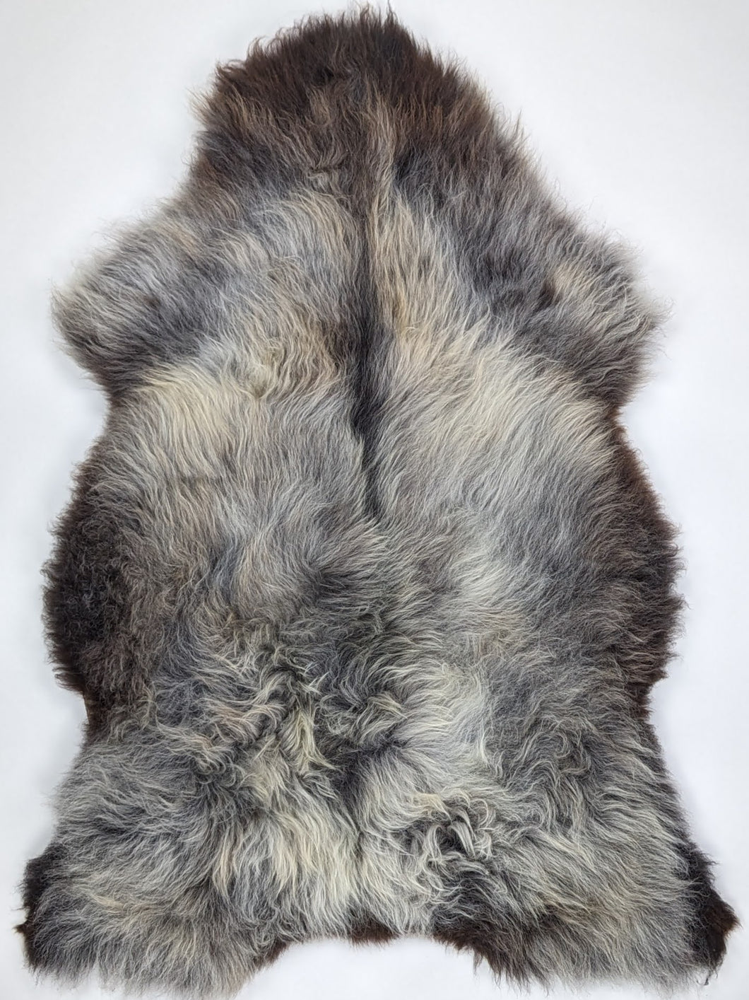 Įvairiaspalvis avikailis XXL