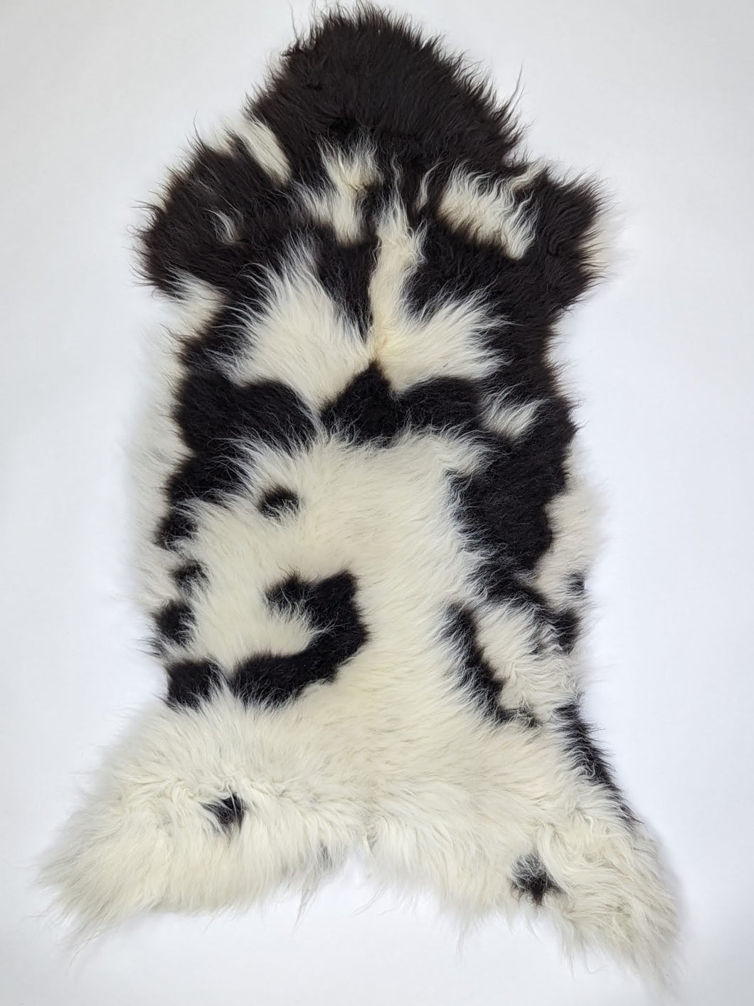 Įvairiaspalvis avikailis XXL