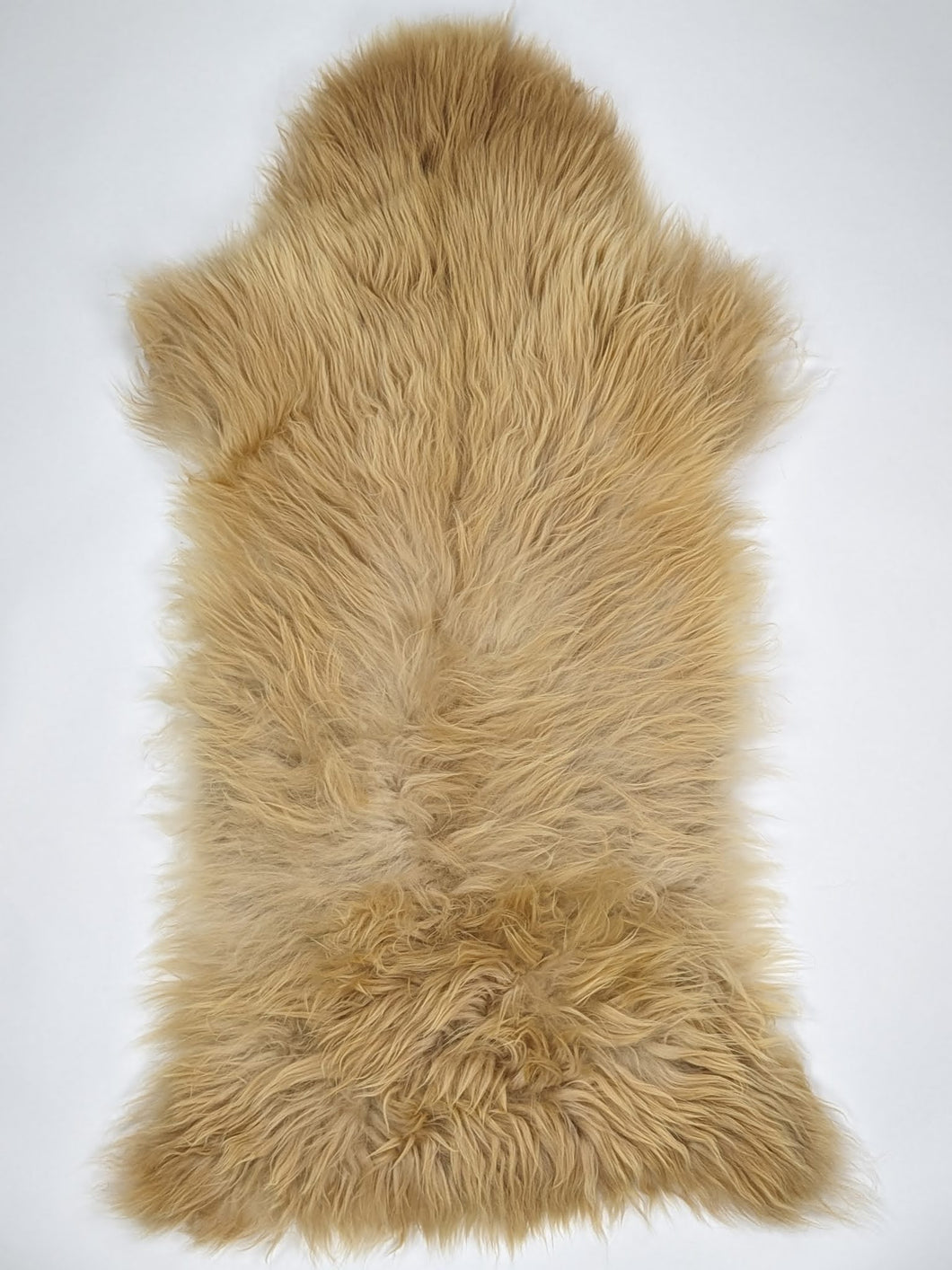 Įvairiaspalvis avikailis XL