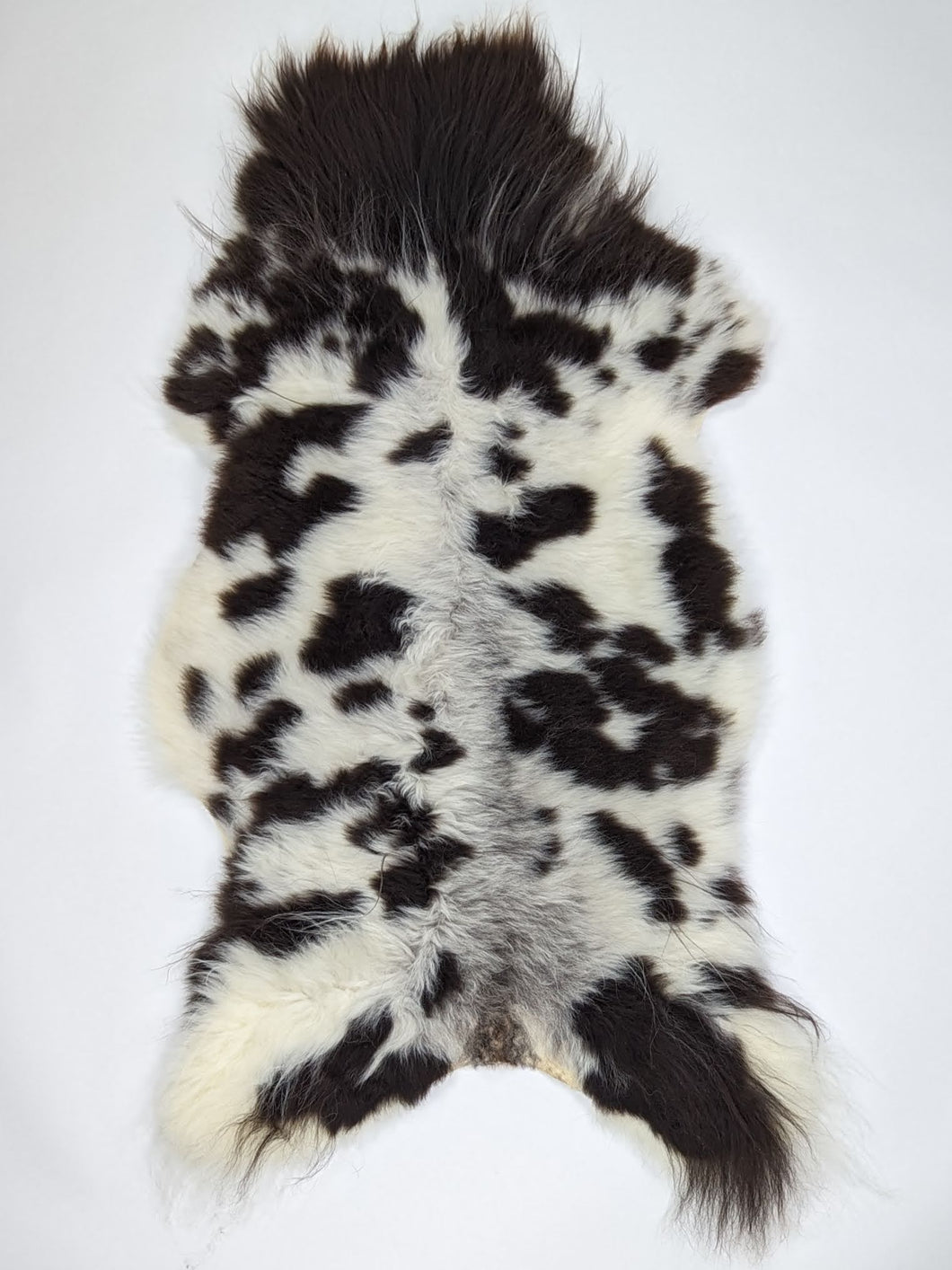 B klasės Vícebarevná ovčí kůže XL