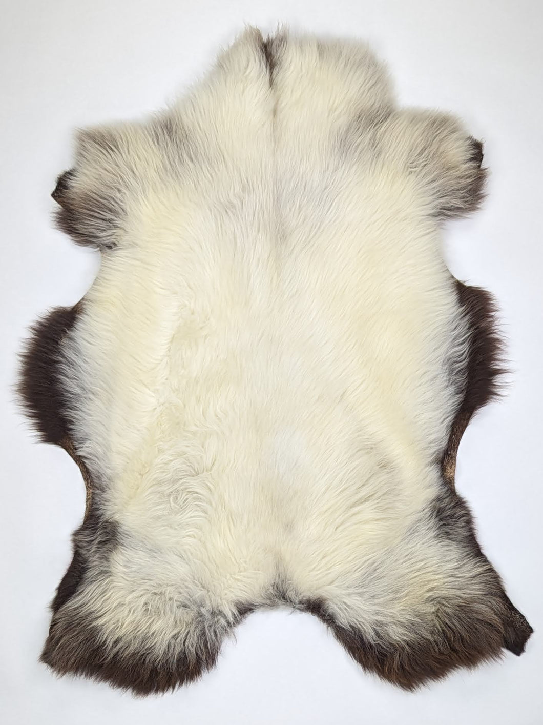 B klasės Vícebarevná ovčí kůže L