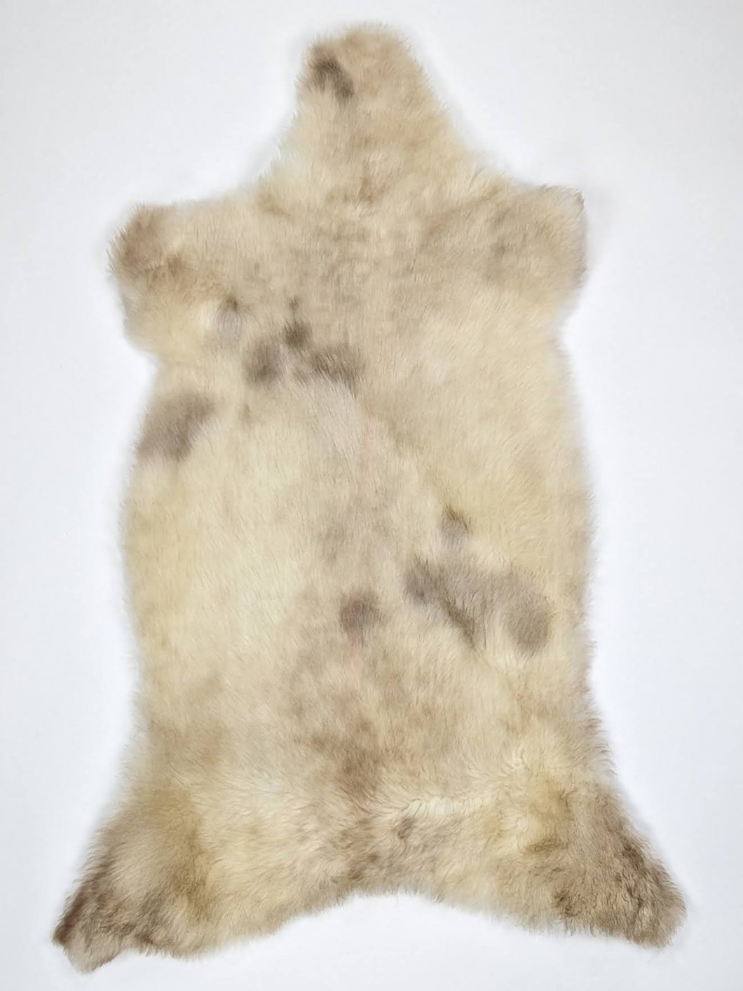 B klasės Vícebarevná ovčí kůže L