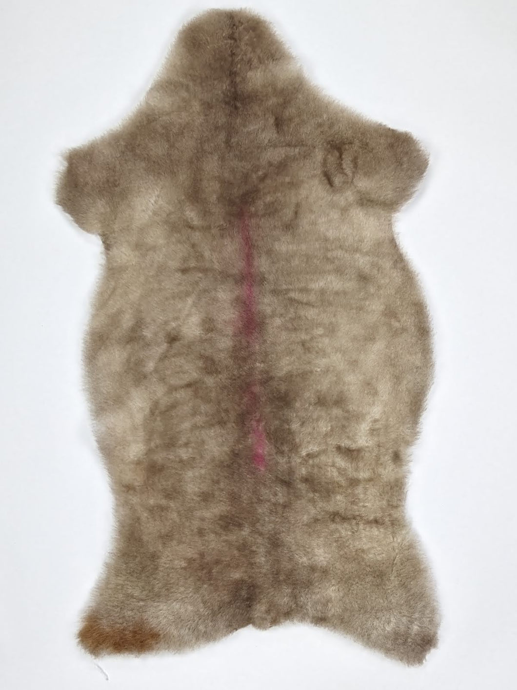 B klasės Vícebarevná ovčí kůže M