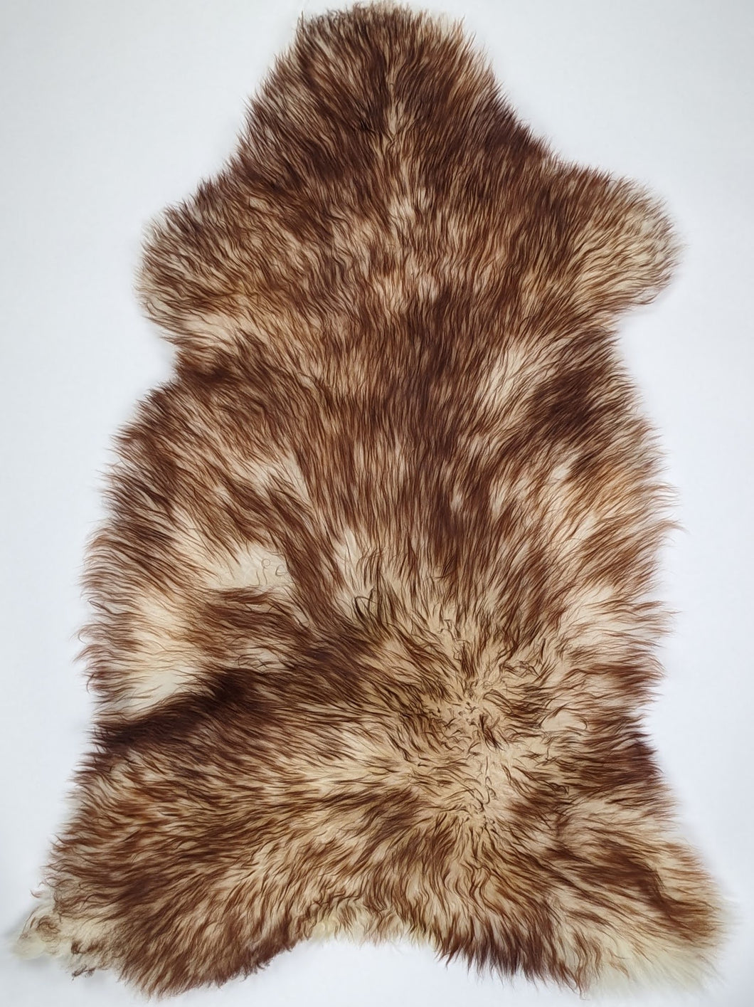 Muflono avikailis XL