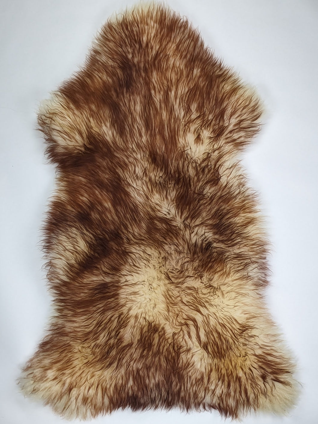 Muflono avikailis XXXL