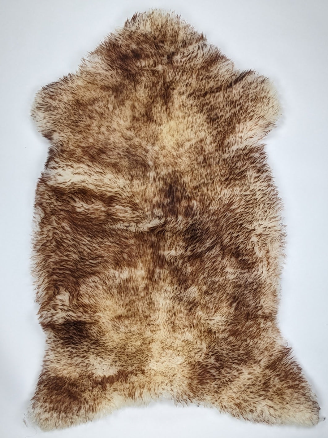 Muflono avikailis XXL