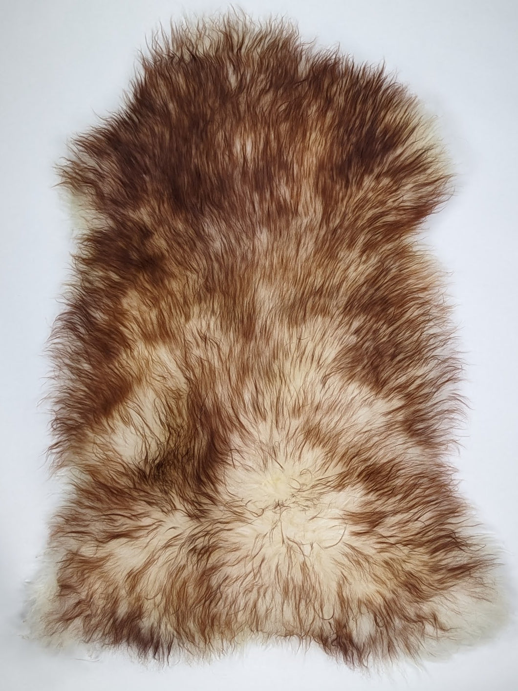 Muflono avikailis XL