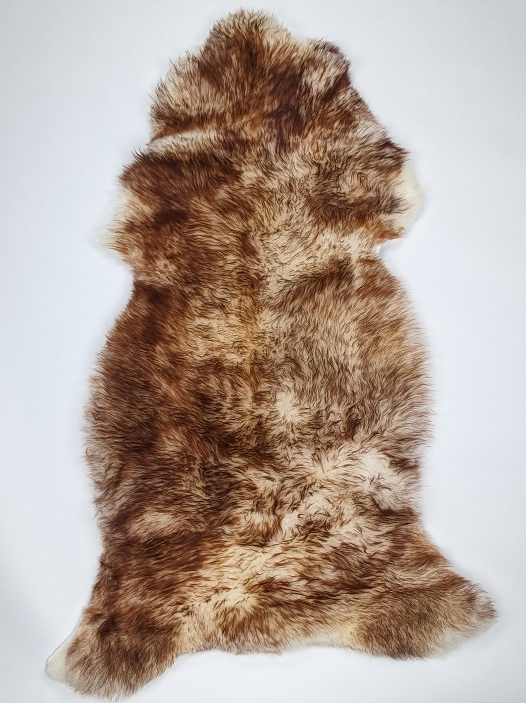 Muflono avikailis XL