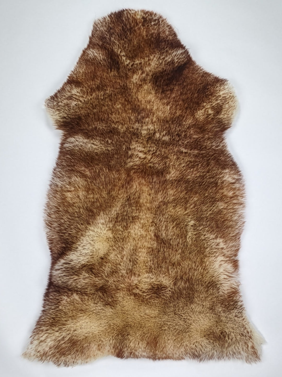 Muflono avikailis XL