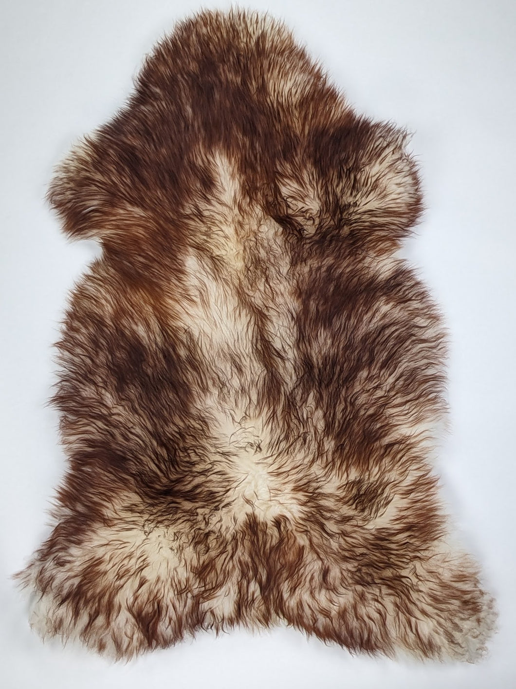 Muflono avikailis XL