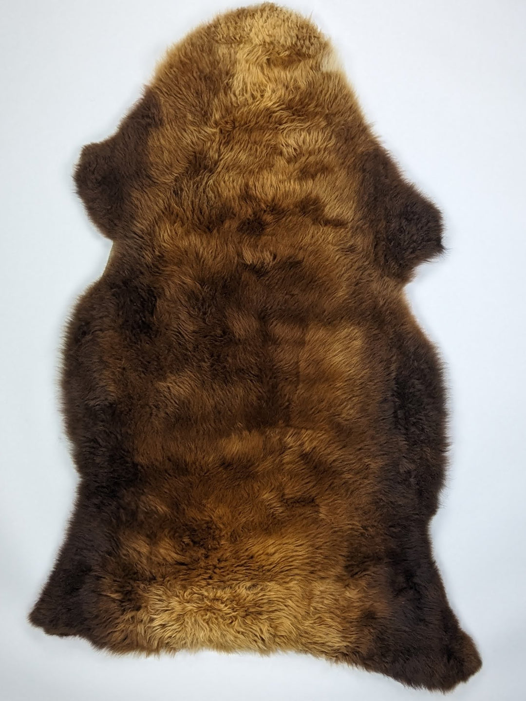 Rudas avikailis "Rusty" XL
