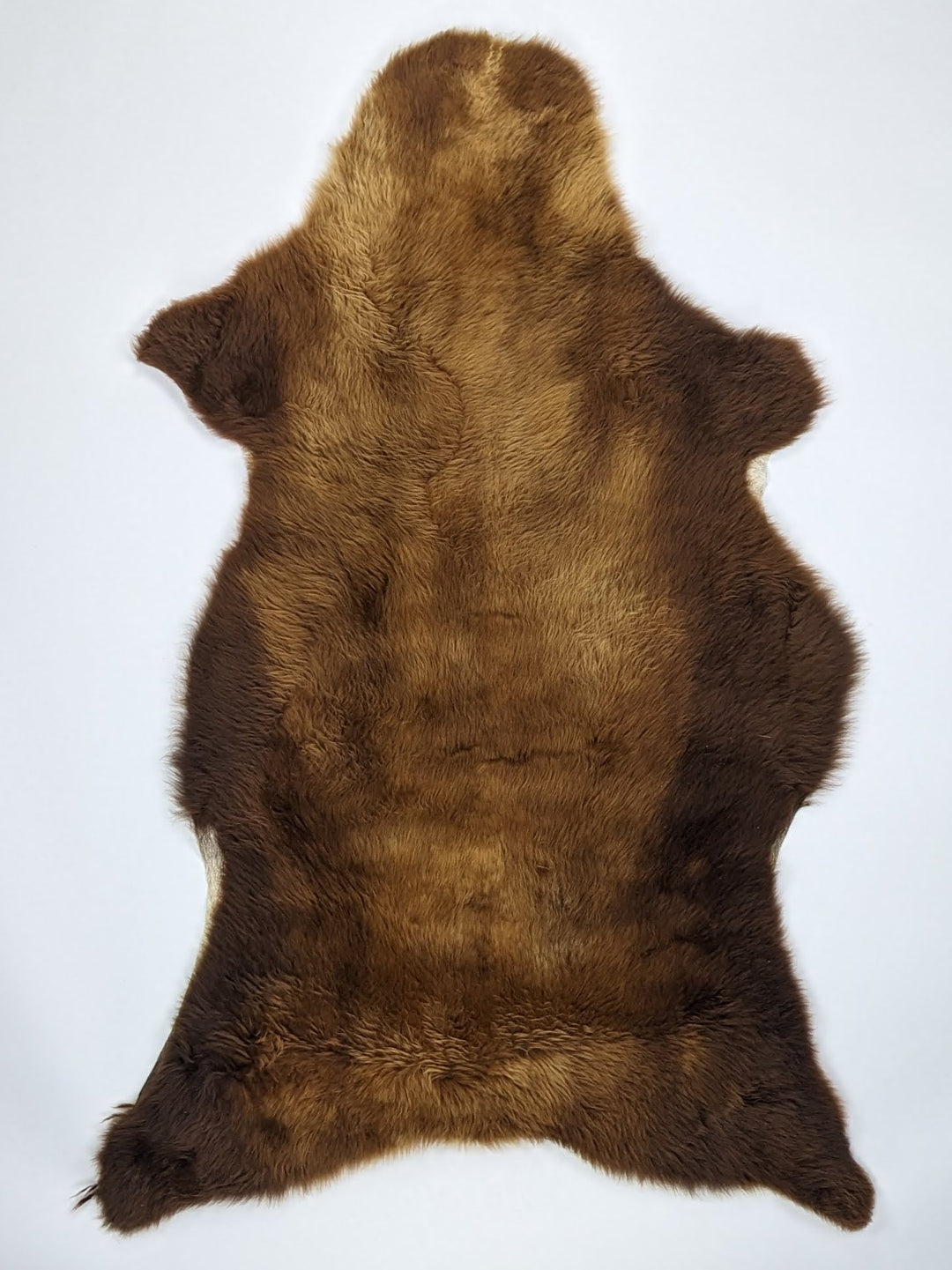 Rudas avikailis "Rusty" XL