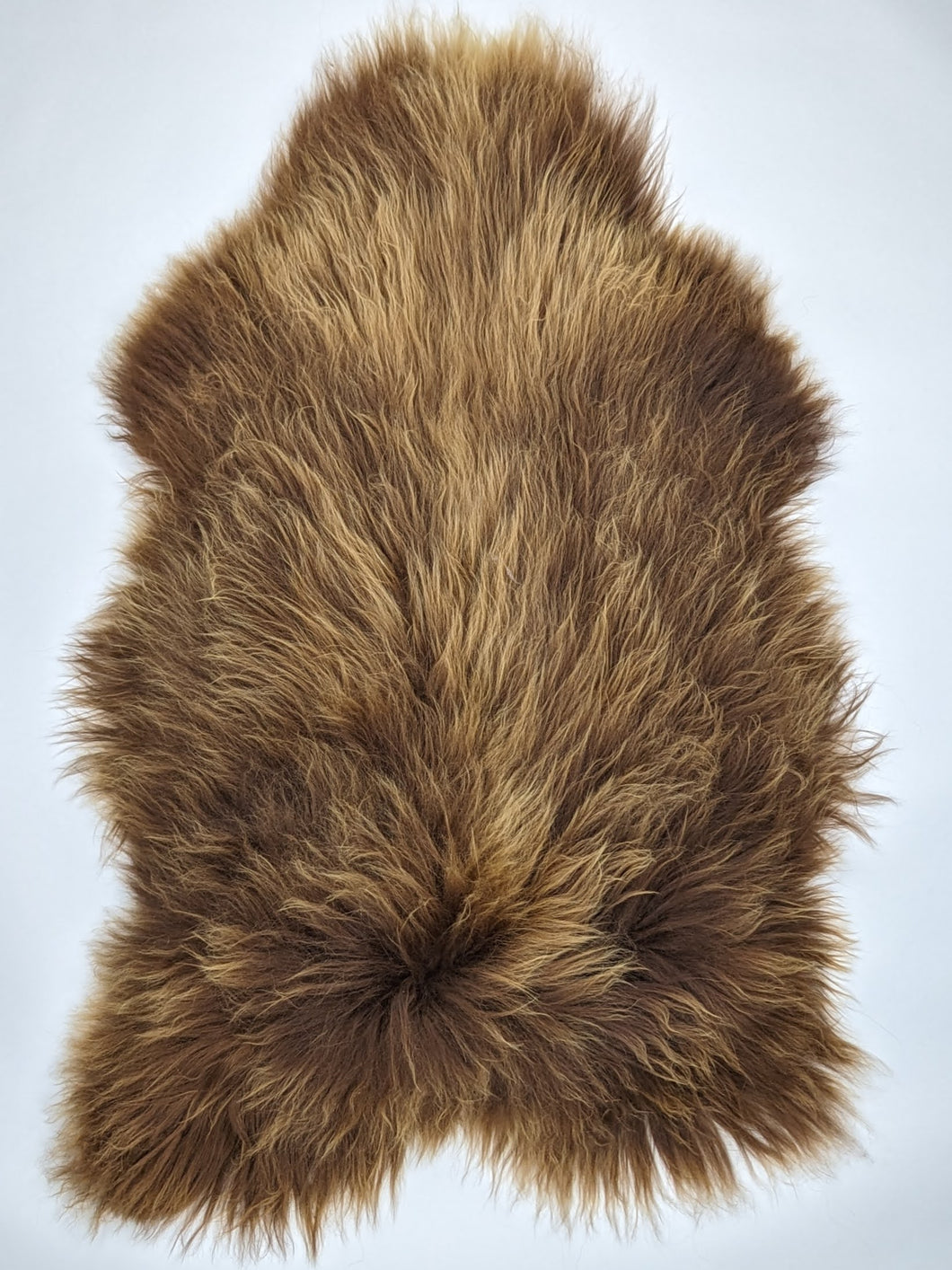 Islandská ovčí kůže XXL