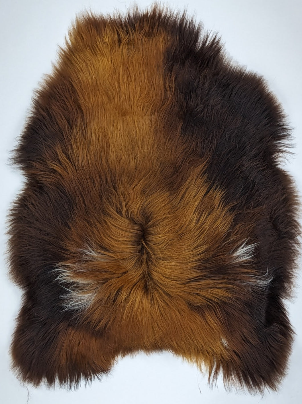 Islandská ovčí kůže „Rusty“ XL