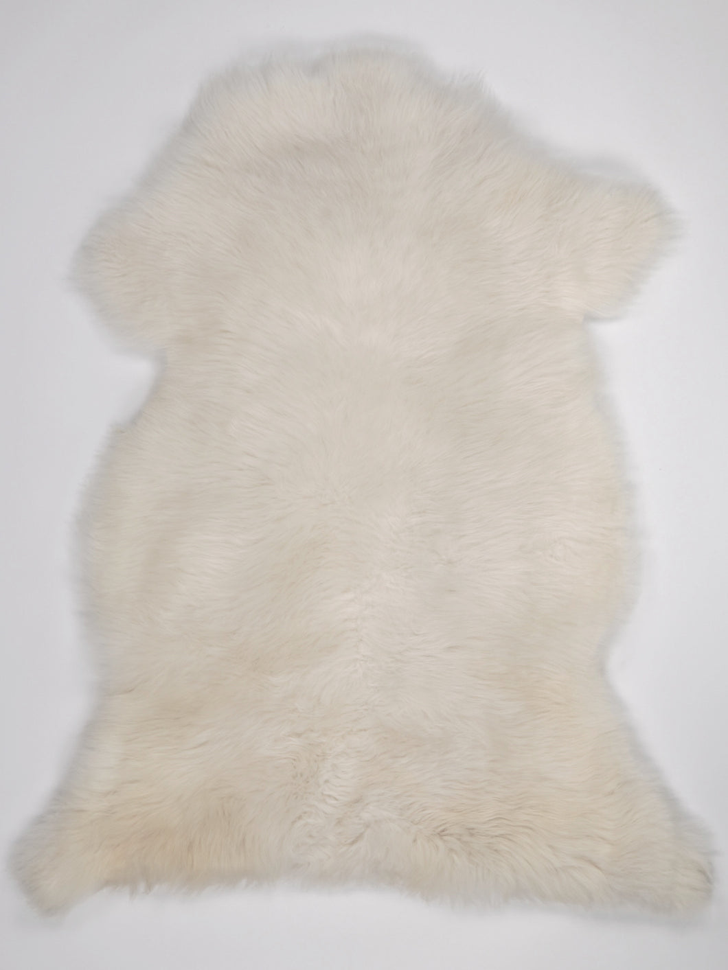 Skandinaviškas baltas avikailis XL