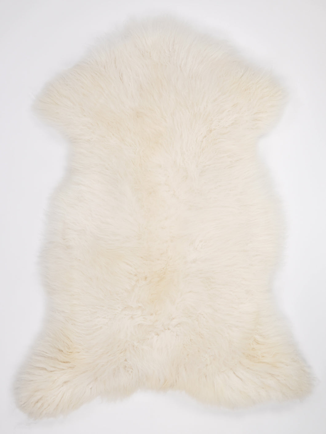 Skandinaviškas baltas avikailis XL