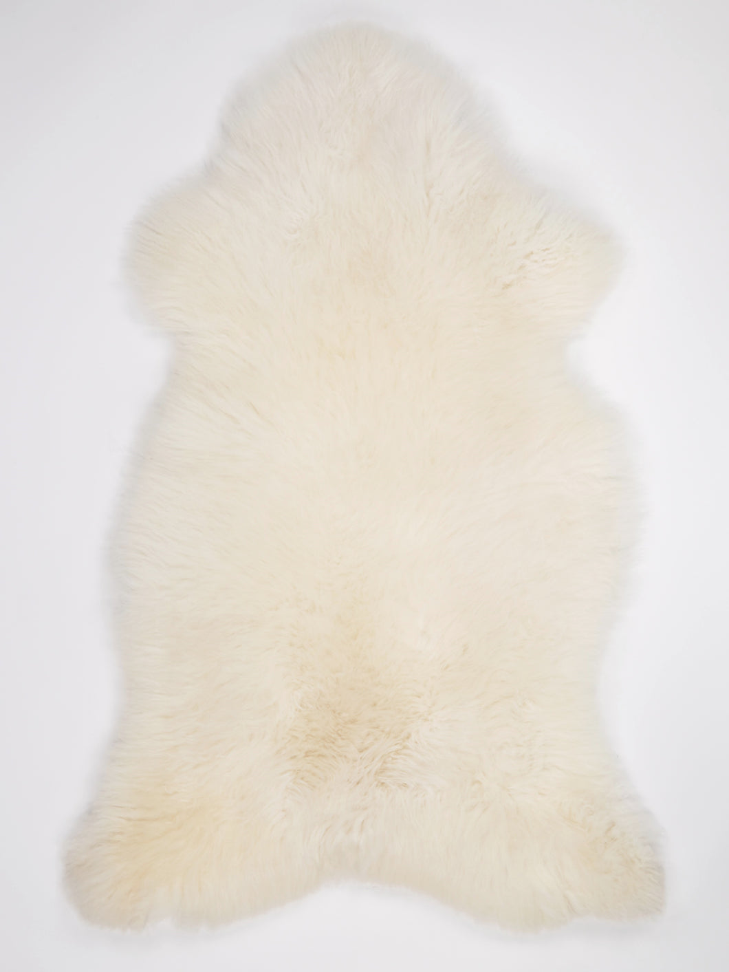 Skandinaviškas baltas avikailis XXL