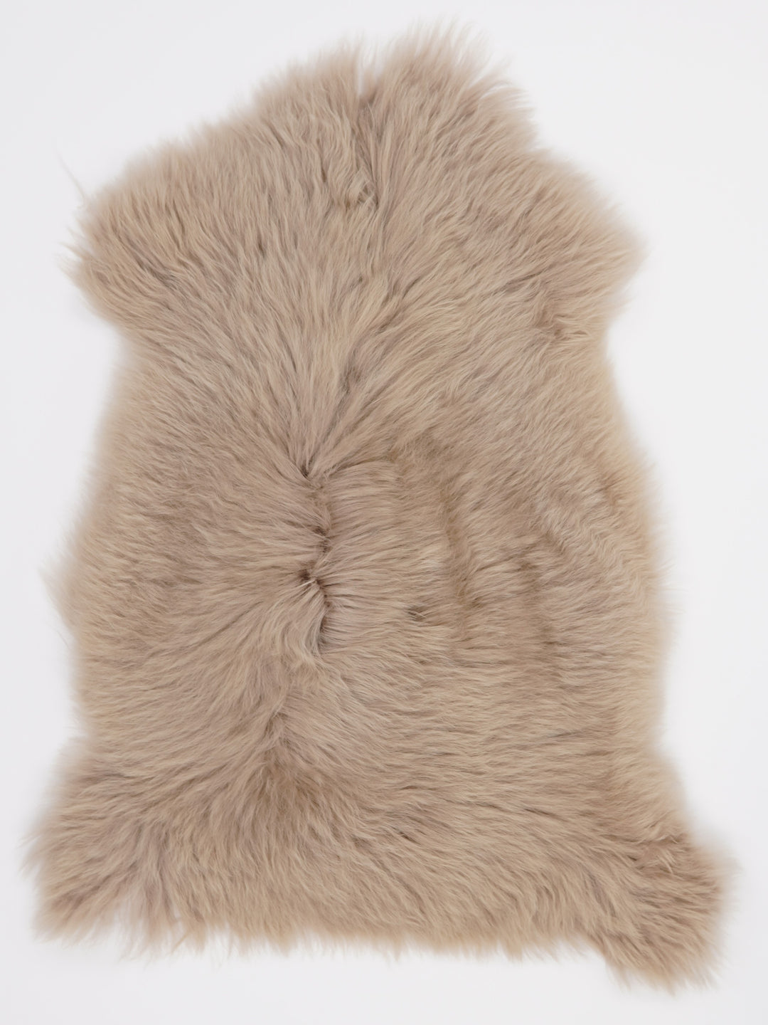 Taupe avikailis S