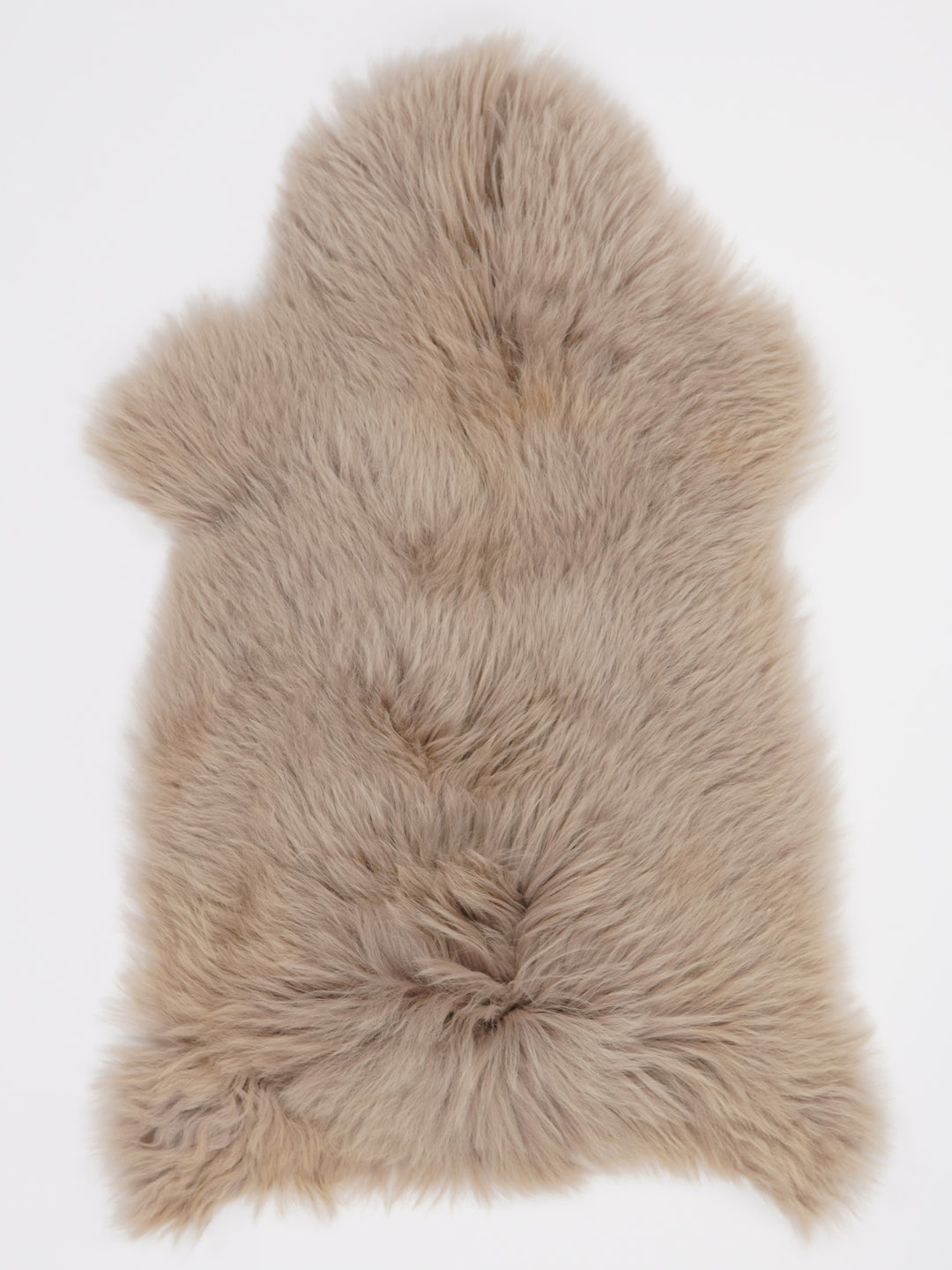 Taupe avikailis S