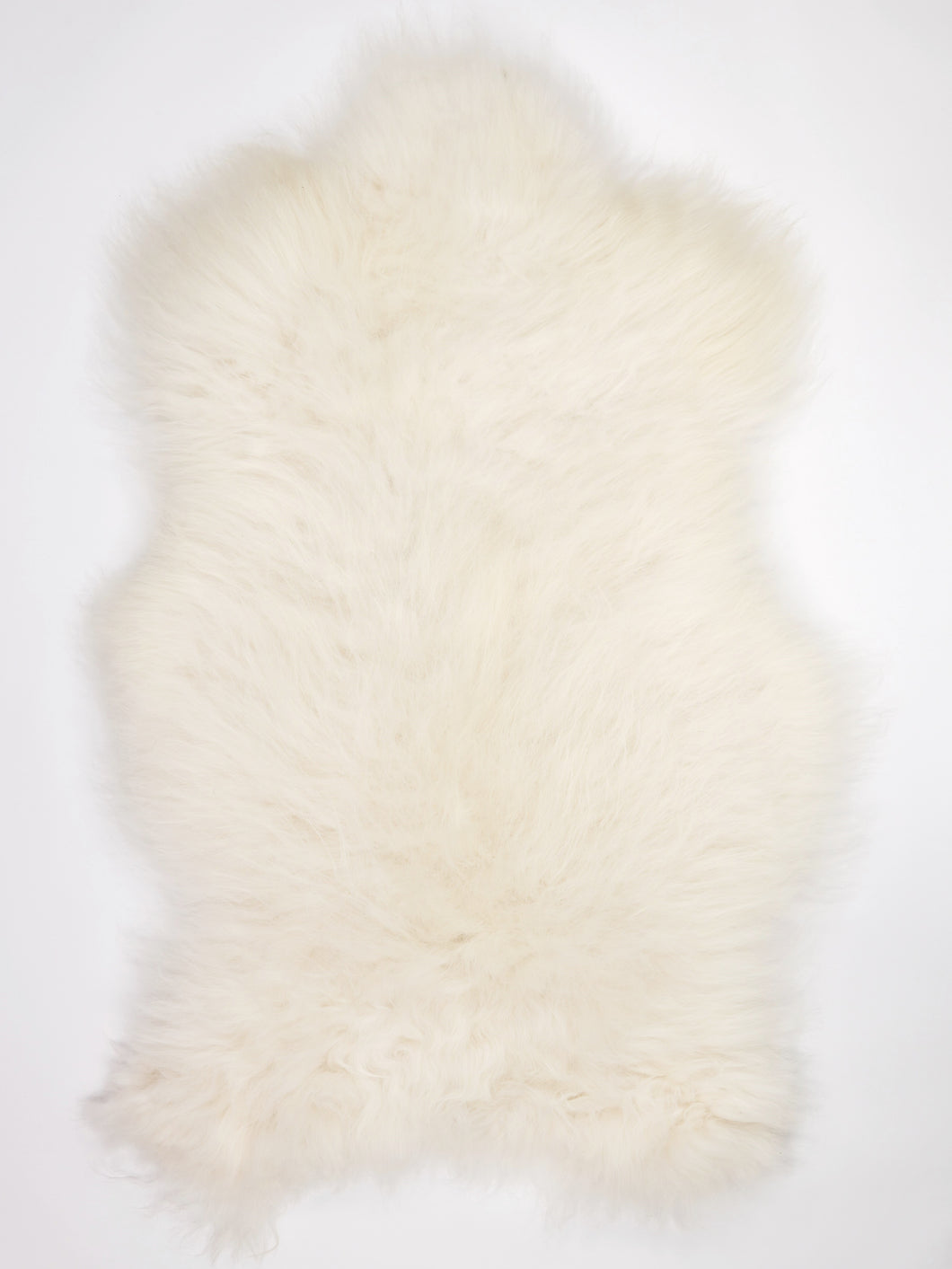 Islandská ovčí kůže XXXL