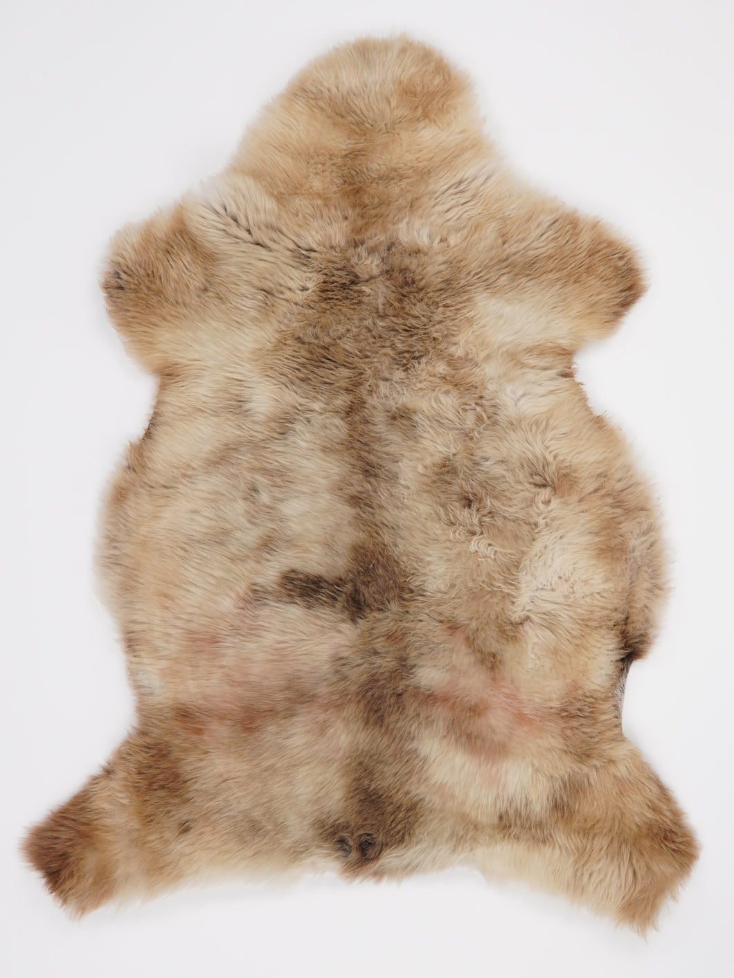 Įvairiaspalvis avikailis M