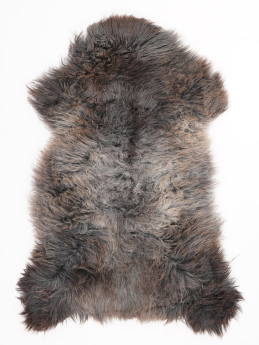 Įvairiaspalvis avikailis L