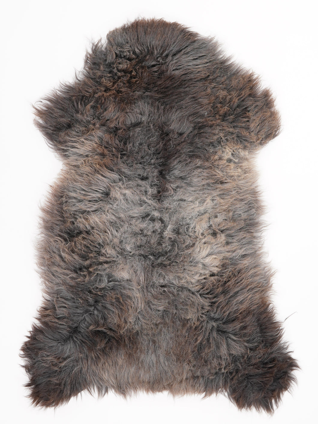 Įvairiaspalvis avikailis L