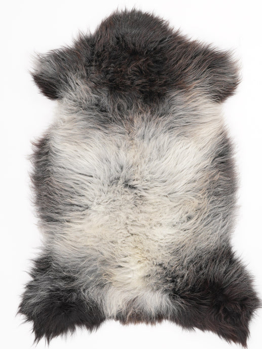 Įvairiaspalvis avikailis L