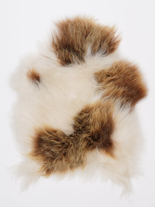 Islandiškas avikailis S