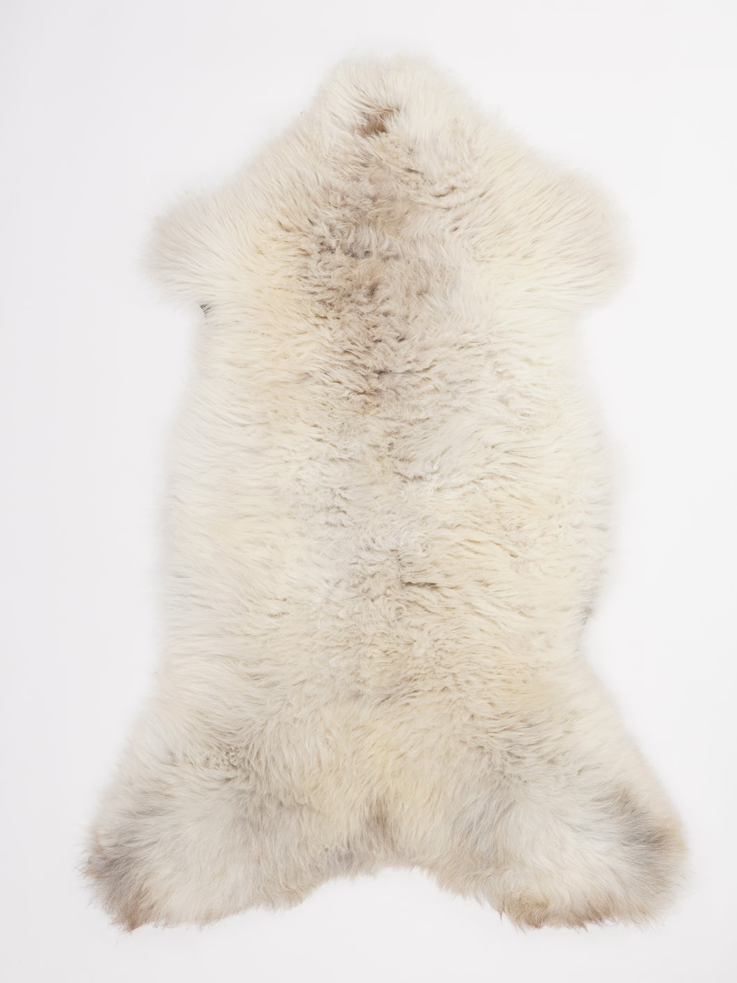 Įvairiaspalvis avikailis XL