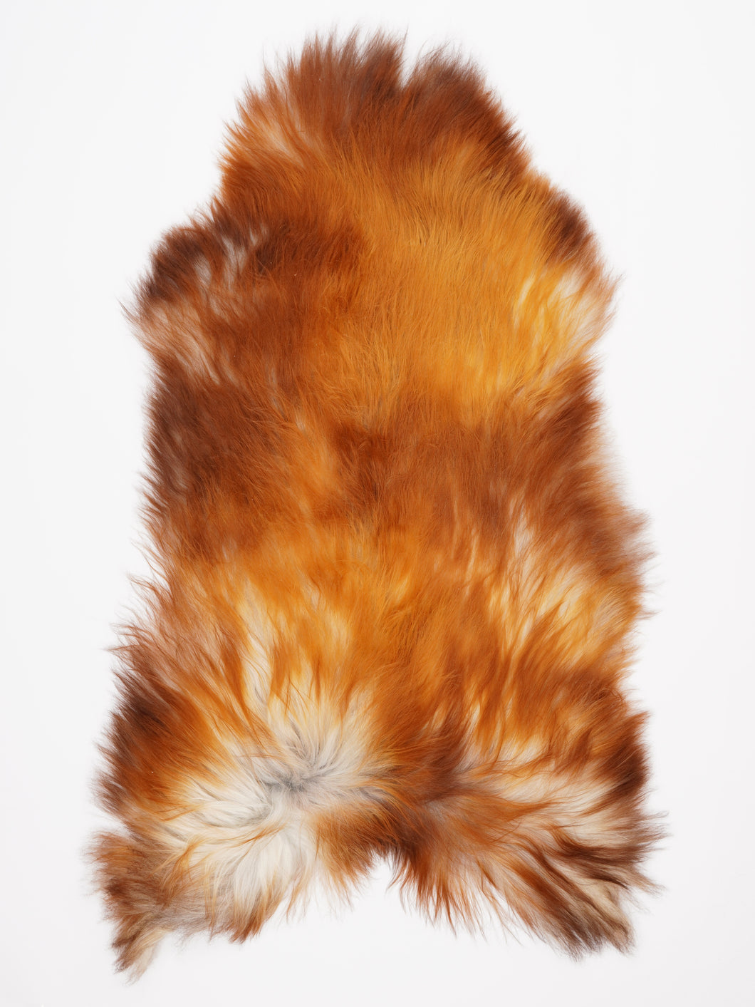 Islandiškas avikailis XXL